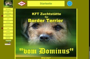 Borderterrier vom Dominus