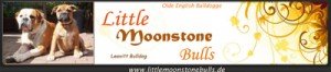 little moonstone bulls