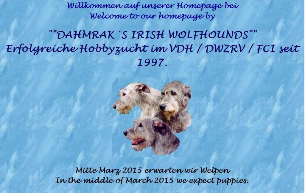 dahmrak irish wolfhounds